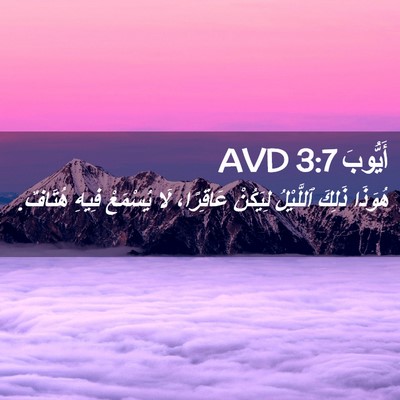 Picture 02 - أَيُّوبَ 3:7 AVD - هُوَذَا ذَلِكَ ٱللَّيْلُ - Bible Verse Picture