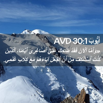 Picture 02 - أَيُّوبَ 30:1 AVD - «وَأَمَّا ٱلْآنَ فَقَدْ - Bible Verse Picture