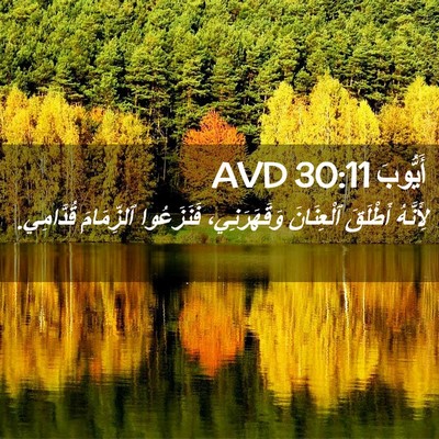 Picture 02 - أَيُّوبَ 30:11 AVD - لِأَنَّهُ أَطْلَقَ - Bible Verse Picture
