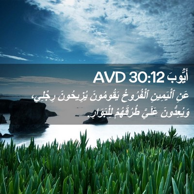 Picture 02 - أَيُّوبَ 30:12 AVD - عَنِ ٱلْيَمِينِ - Bible Verse Picture