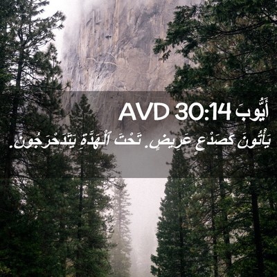 Picture 02 - أَيُّوبَ 30:14 AVD - يَأْتُونَ كَصَدْعٍ - Bible Verse Picture