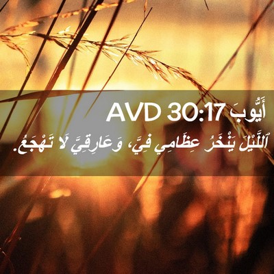 Picture 02 - أَيُّوبَ 30:17 AVD - ٱللَّيْلَ يَنْخَرُ - Bible Verse Picture