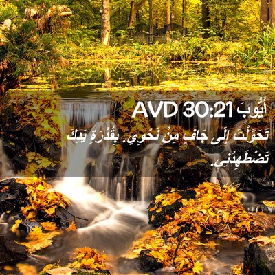 Picture 02 - أَيُّوبَ 30:21 AVD - تَحَوَّلْتَ إِلَى جَافٍ - Bible Verse Picture