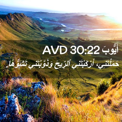 Picture 02 - أَيُّوبَ 30:22 AVD - حَمَلْتَنِي، - Bible Verse Picture