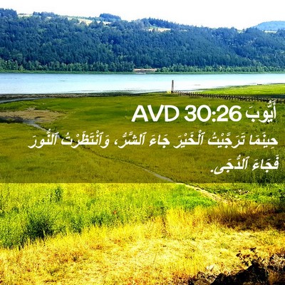 Picture 02 - أَيُّوبَ 30:26 AVD - حِينَمَا تَرَجَّيْتُ - Bible Verse Picture