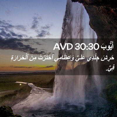 Picture 02 - أَيُّوبَ 30:30 AVD - حَرِشَ جِلْدِي عَلَيَّ - Bible Verse Picture