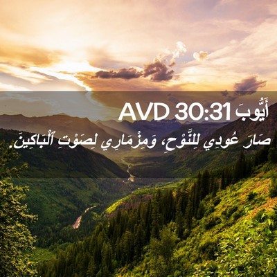 Picture 02 - أَيُّوبَ 30:31 AVD - صَارَ عُودِي لِلنَّوْحِ، - Bible Verse Picture