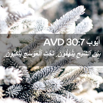 Picture 02 - أَيُّوبَ 30:7 AVD - بَيْنَ ٱلشِّيحِ - Bible Verse Picture