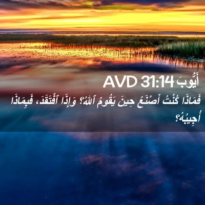 Picture 02 - أَيُّوبَ 31:14 AVD - فَمَاذَا كُنْتُ أَصْنَعُ - Bible Verse Picture