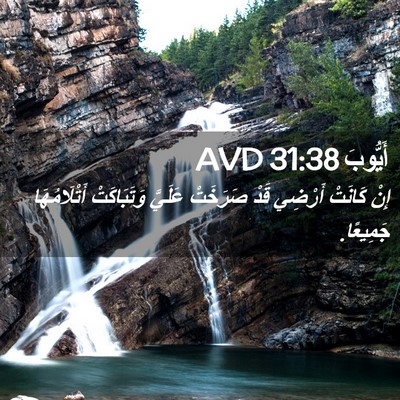 Picture 02 - أَيُّوبَ 31:38 AVD - إِنْ كَانَتْ أَرْضِي قَدْ - Bible Verse Picture