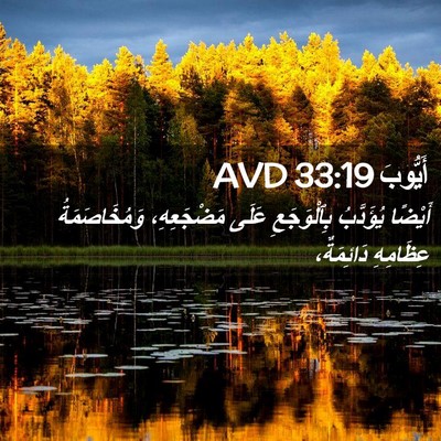 Picture 02 - أَيُّوبَ 33:19 AVD - أَيْضًا يُؤَدَّبُ - Bible Verse Picture