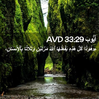 Picture 02 - أَيُّوبَ 33:29 AVD - «هُوَذَا كُلُّ هَذِهِ - Bible Verse Picture