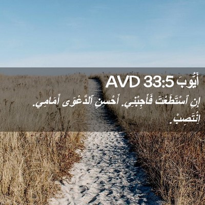 Picture 02 - أَيُّوبَ 33:5 AVD - إِنِ ٱسْتَطَعْتَ - Bible Verse Picture