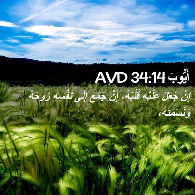 Picture 02 - أَيُّوبَ 34:14 AVD - إِنْ جَعَلَ عَلَيْهِ - Bible Verse Picture