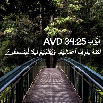Picture 02 - أَيُّوبَ 34:25 AVD - لَكِنَّهُ يَعْرِفُ - Bible Verse Picture