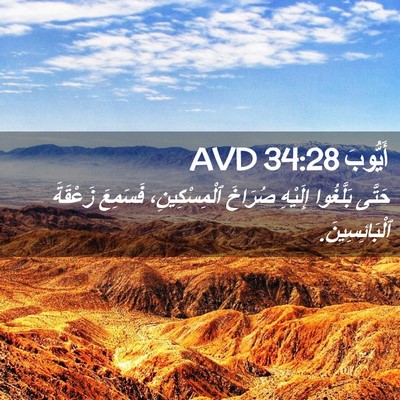 Picture 02 - أَيُّوبَ 34:28 AVD - حَتَّى بَلَّغُوا إِلَيْهِ - Bible Verse Picture