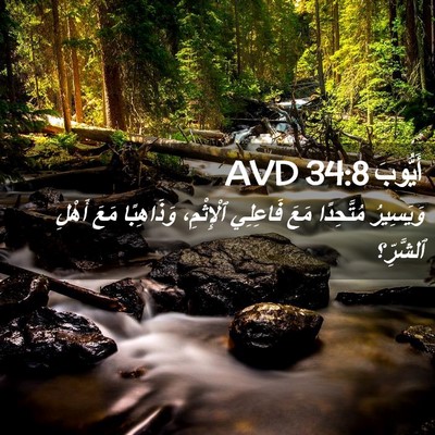 Picture 02 - أَيُّوبَ 34:8 AVD - وَيَسِيرُ مُتَّحِدًا مَعَ - Bible Verse Picture