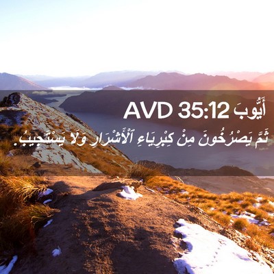 Picture 02 - أَيُّوبَ 35:12 AVD - ثَمَّ يَصْرُخُونَ مِنْ - Bible Verse Picture