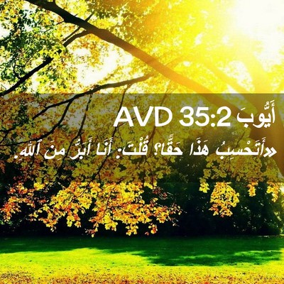 Picture 02 - أَيُّوبَ 35:2 AVD - «أَتَحْسِبُ هَذَا حَقًّا؟ - Bible Verse Picture