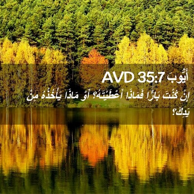 Picture 02 - أَيُّوبَ 35:7 AVD - إِنْ كُنْتَ بَارًّا - Bible Verse Picture