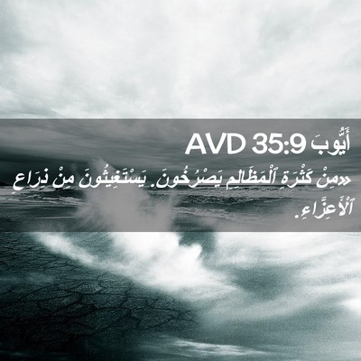 Picture 02 - أَيُّوبَ 35:9 AVD - «مِنْ كَثْرَةِ - Bible Verse Picture