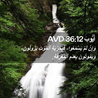 Picture 02 - أَيُّوبَ 36:12 AVD - وَإِنْ لَمْ يَسْمَعُوا، - Bible Verse Picture