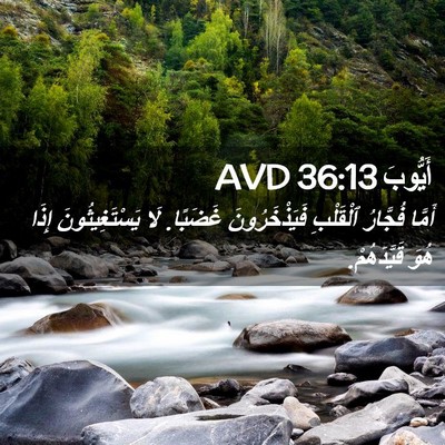 Picture 02 - أَيُّوبَ 36:13 AVD - أَمَّا فُجَّارُ ٱلْقَلْبِ - Bible Verse Picture
