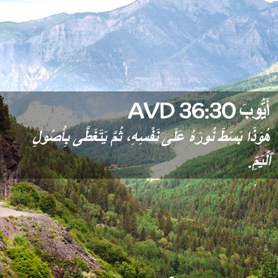 Picture 02 - أَيُّوبَ 36:30 AVD - هُوَذَا بَسَطَ نُورَهُ - Bible Verse Picture
