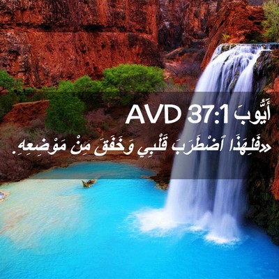 Picture 02 - أَيُّوبَ 37:1 AVD - «فَلِهَذَا ٱضْطَرَبَ - Bible Verse Picture
