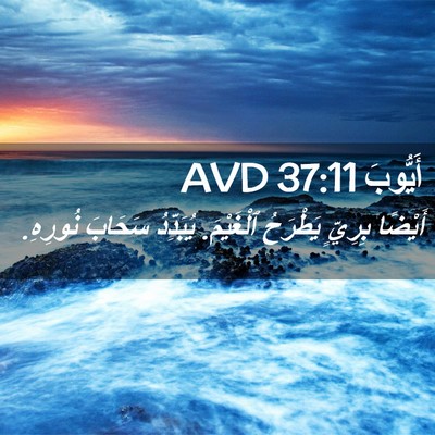Picture 02 - أَيُّوبَ 37:11 AVD - أَيْضًا بِرِيٍّ يَطْرَحُ - Bible Verse Picture