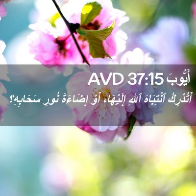 Picture 02 - أَيُّوبَ 37:15 AVD - أَتُدْرِكُ ٱنْتِبَاهَ - Bible Verse Picture