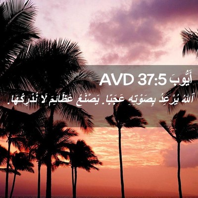 Picture 02 - أَيُّوبَ 37:5 AVD - ٱللهُ يُرْعِدُ بِصَوْتِهِ - Bible Verse Picture