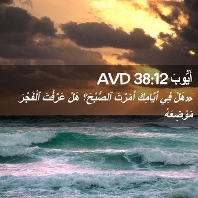 Picture 02 - أَيُّوبَ 38:12 AVD - «هَلْ فِي أَيَّامِكَ - Bible Verse Picture
