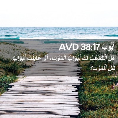 Picture 02 - أَيُّوبَ 38:17 AVD - هَلِ ٱنْكَشَفَتْ لَكَ - Bible Verse Picture