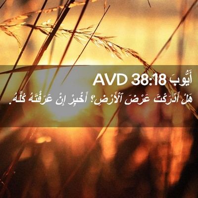 Picture 02 - أَيُّوبَ 38:18 AVD - هَلْ أَدْرَكْتَ عَرْضَ - Bible Verse Picture