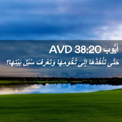 Picture 02 - أَيُّوبَ 38:20 AVD - حَتَّى تَأْخُذَهَا إِلَى - Bible Verse Picture