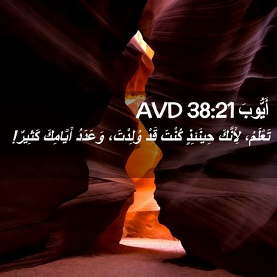 Picture 02 - أَيُّوبَ 38:21 AVD - تَعْلَمُ، لِأَنَّكَ - Bible Verse Picture