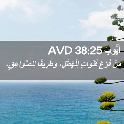 Picture 02 - أَيُّوبَ 38:25 AVD - مَنْ فَرَّعَ قَنَوَاتٍ - Bible Verse Picture
