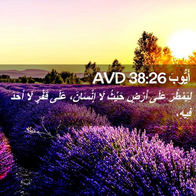 Picture 02 - أَيُّوبَ 38:26 AVD - لِيَمْطُرَ عَلَى أَرْضٍ - Bible Verse Picture