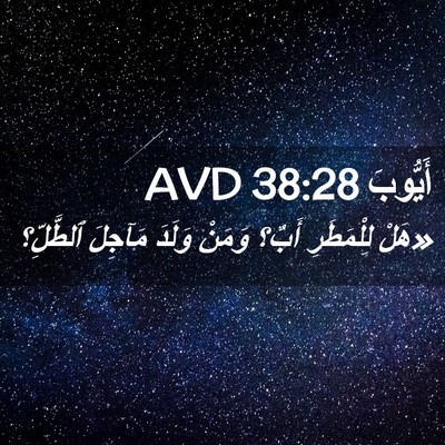 Picture 02 - أَيُّوبَ 38:28 AVD - «هَلْ لِلْمَطَرِ أَبٌ؟ - Bible Verse Picture