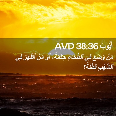 Picture 02 - أَيُّوبَ 38:36 AVD - مَنْ وَضَعَ فِي ٱلطَّخَاءِ - Bible Verse Picture