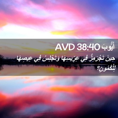 Picture 02 - أَيُّوبَ 38:40 AVD - حِينَ تَجْرَمِزُّ فِي - Bible Verse Picture