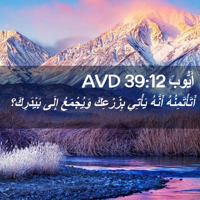 Picture 02 - أَيُّوبَ 39:12 AVD - أَتَأْتَمِنُهُ أَنَّهُ - Bible Verse Picture