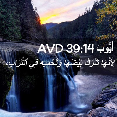 Picture 02 - أَيُّوبَ 39:14 AVD - لِأَنَّهَا تَتْرُكُ - Bible Verse Picture