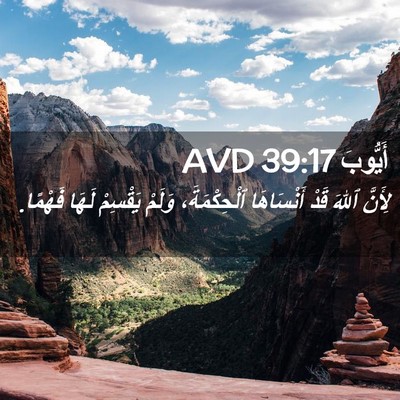 Picture 02 - أَيُّوبَ 39:17 AVD - لِأَنَّ ٱللهَ قَدْ - Bible Verse Picture