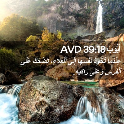 Picture 02 - أَيُّوبَ 39:18 AVD - عِنْدَمَا تُحْوِذُ - Bible Verse Picture