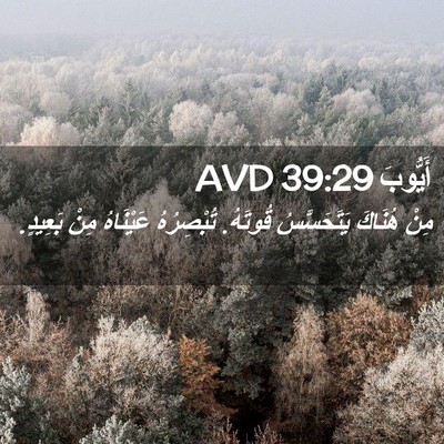 Picture 02 - أَيُّوبَ 39:29 AVD - مِنْ هُنَاكَ يَتَحَسَّسُ - Bible Verse Picture
