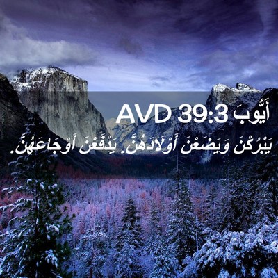 Picture 02 - أَيُّوبَ 39:3 AVD - يَبْرُكْنَ وَيَضَعْنَ - Bible Verse Picture