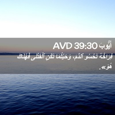 Picture 02 - أَيُّوبَ 39:30 AVD - فِرَاخُهُ تَحْسُو - Bible Verse Picture