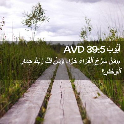 Picture 02 - أَيُّوبَ 39:5 AVD - «مَنْ سَرَّحَ ٱلْفَرَاءَ - Bible Verse Picture